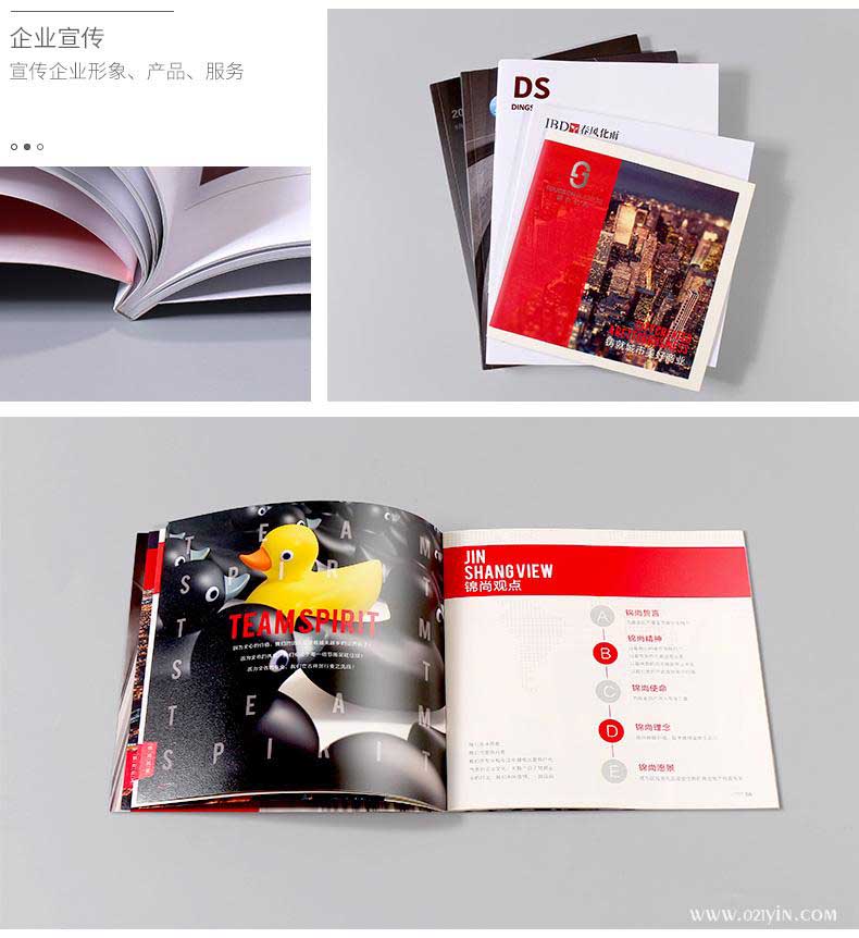 企業(yè)畫冊 第2張 企業(yè)畫冊 第2張
