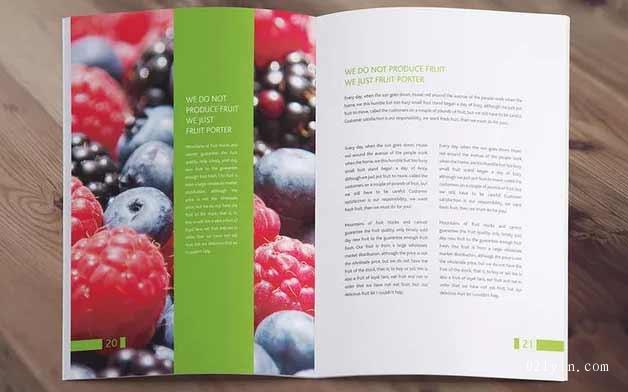 產(chǎn)品畫冊印刷時(shí)尚性的展示風(fēng)格